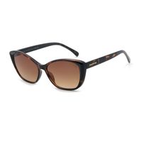 OC.CL.4965-2006 Oculos de Sol Feminino Chilli Beans Cat Degrade Tartaruga.jpg